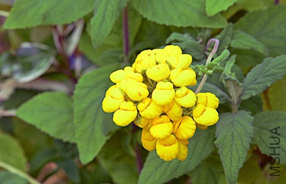 _DSC0187_edited-1.jpg