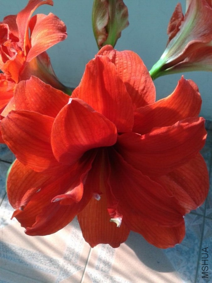 QQͼƬ20140520212118.jpg