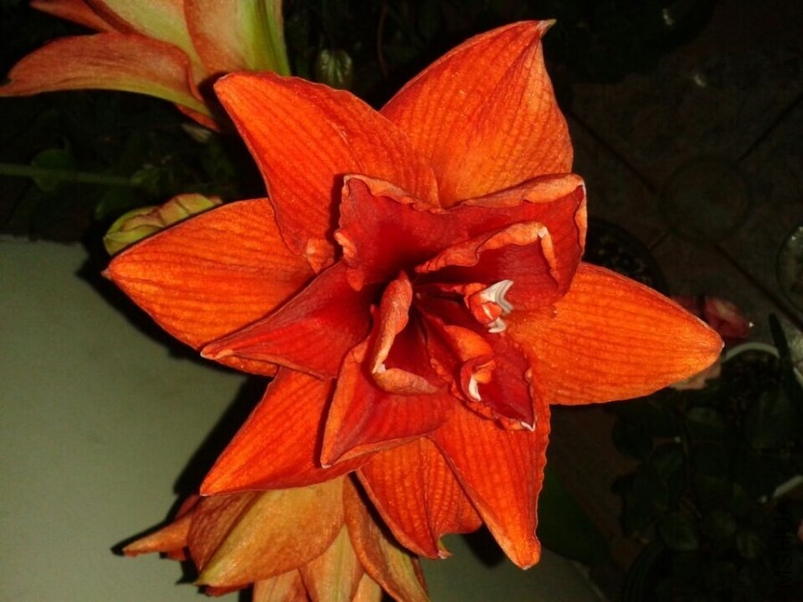 QQͼƬ20140520212215.jpg