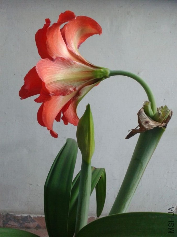 QQͼƬ20140522193758.jpg