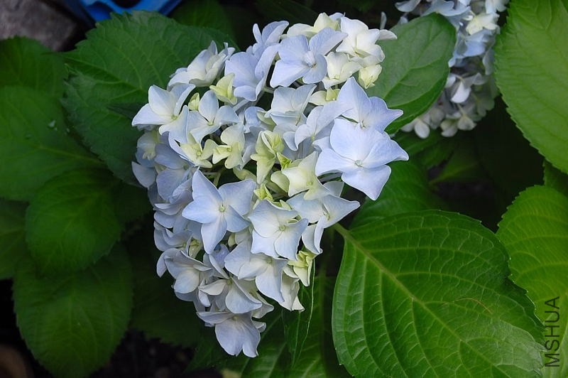 DSC_01370135.JPG