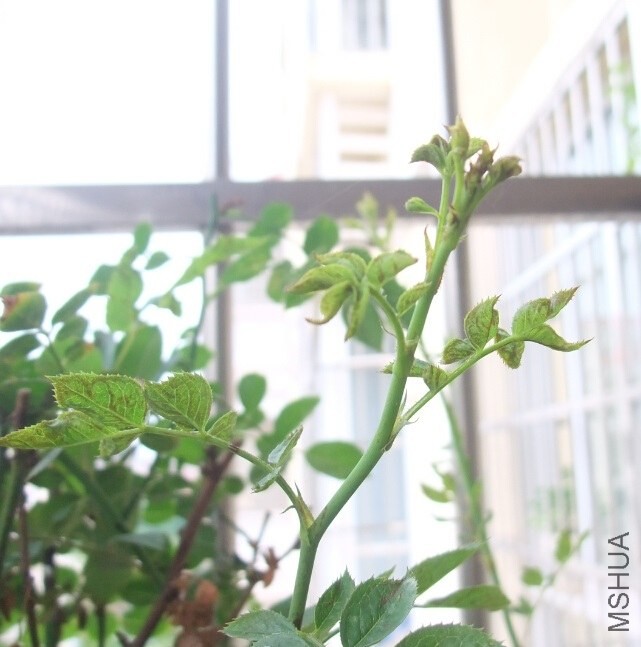 QQ��ͼ20140531103918.jpg