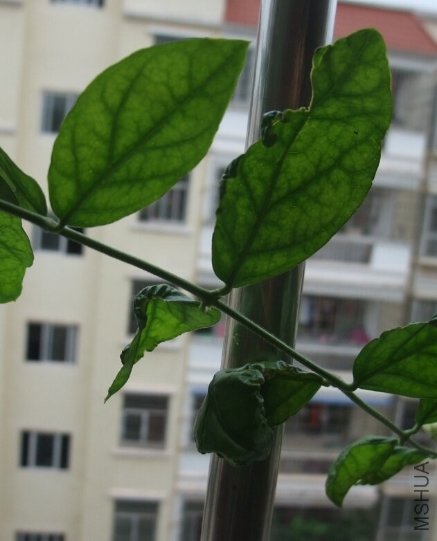 QQ��ͼ20140531103928.jpg