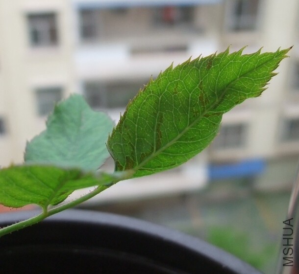 QQ��ͼ20140531103948.jpg