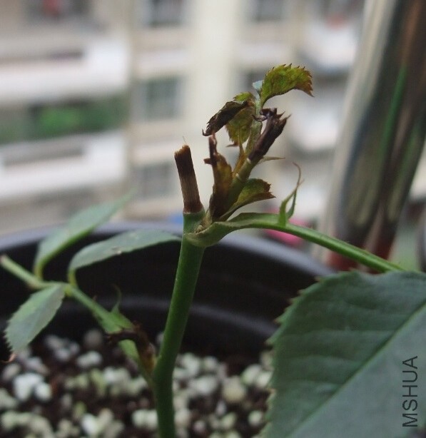 QQ��ͼ20140531103957.jpg