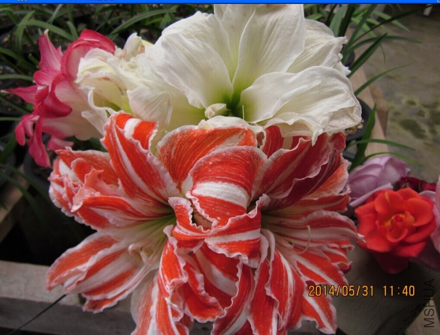 QQͼƬ20140531114525.jpg