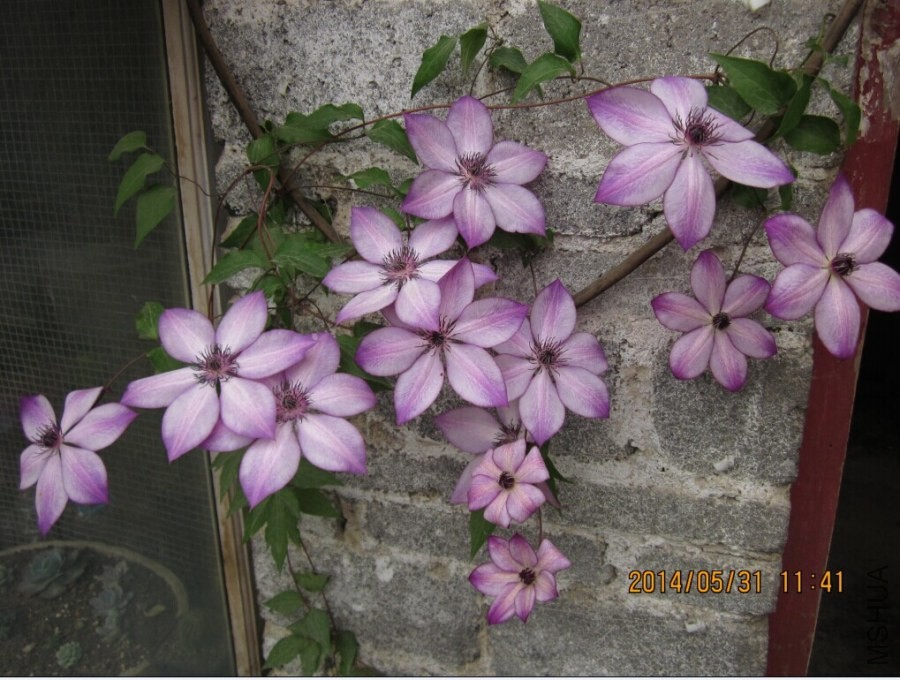 QQͼƬ20140531114522.jpg