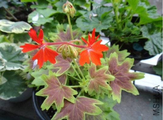 QQ��ͼ20140531113226.jpg