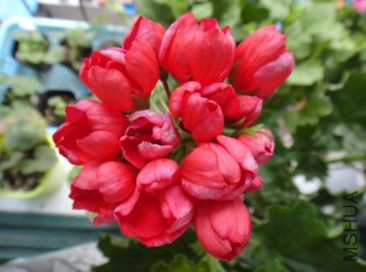 QQ��ͼ20140531113239.jpg