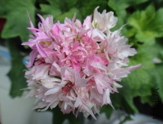 QQ��ͼ20140531113252.jpg