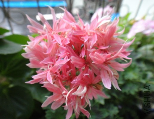 QQ��ͼ20140531113302.jpg