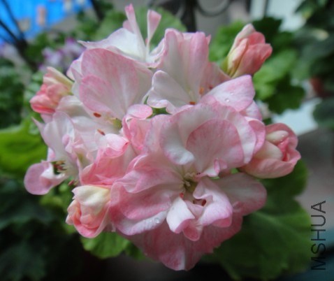 QQ��ͼ20140531113321.jpg