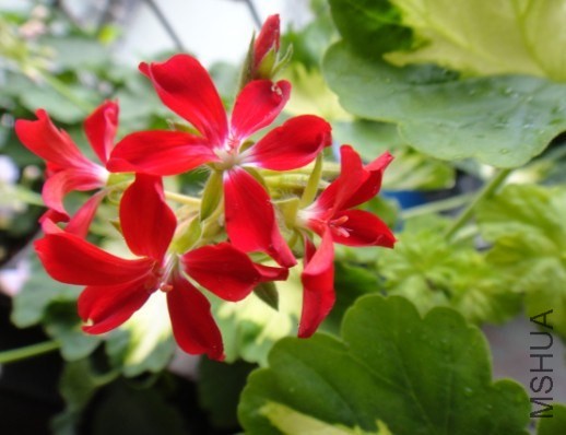 QQ��ͼ20140531113330.jpg