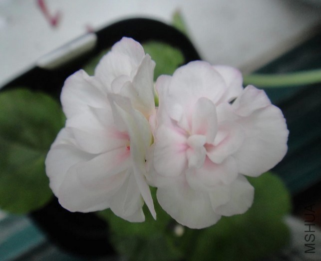 QQ��ͼ20140531120818.jpg