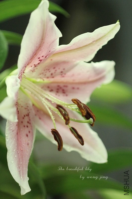 QQͼƬ20140531093630.jpg