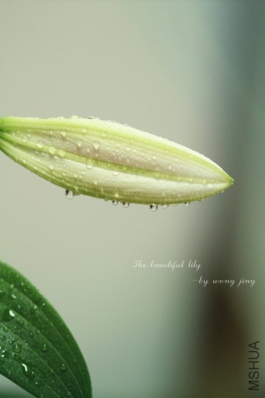 QQͼƬ20140531093621.jpg