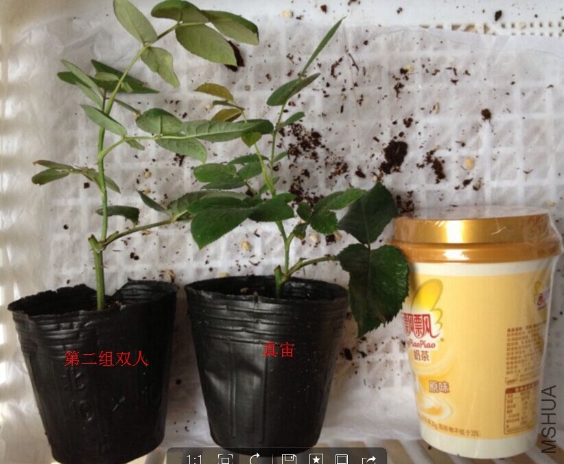 ˫�˵ڶ���.jpg