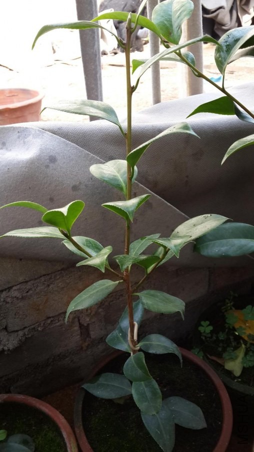 20140531_155233.jpg