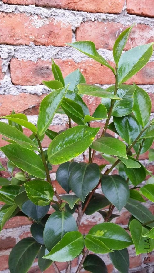 20140531_154637.jpg