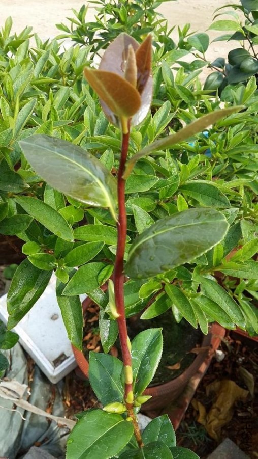 20140531_154525.jpg