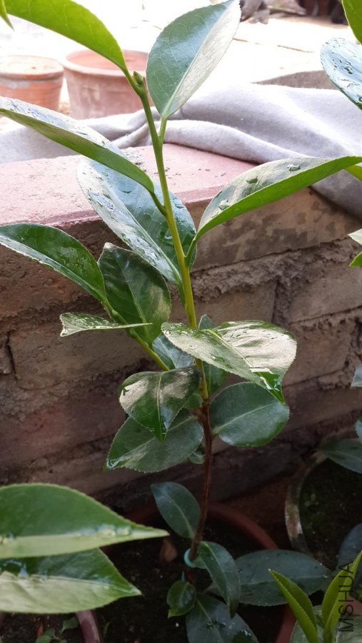 20140531_152051.jpg