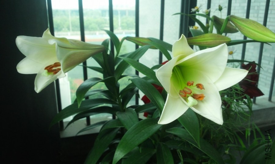 ���ν�ͼ20140601110510.jpg