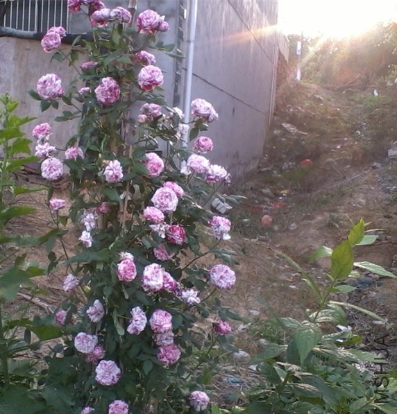 2013-12-28 00.31.06_����.jpg