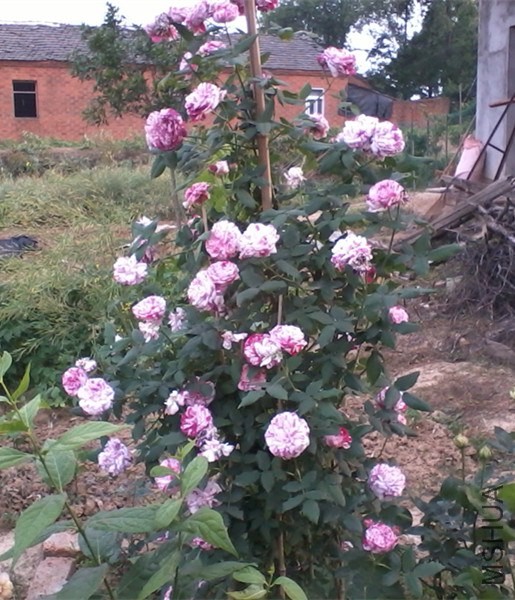 2013-12-28 00.31.42_����.jpg