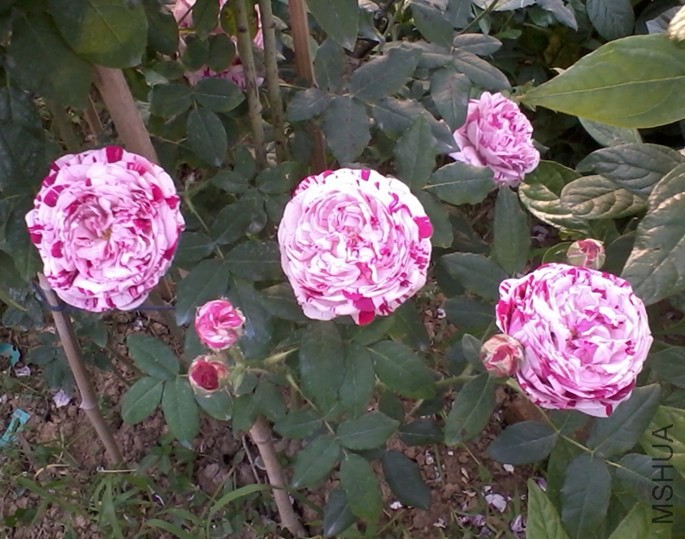 2013-12-28 00.32.29_����.jpg