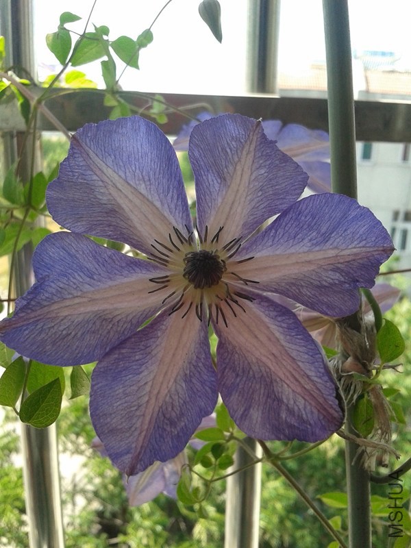 2014-05-28 10.18.07_����.jpg