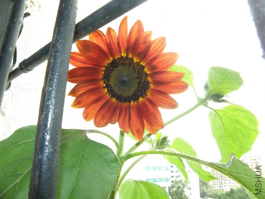 P4225014.JPG
