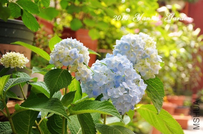QQͼƬ20140602144211.jpg