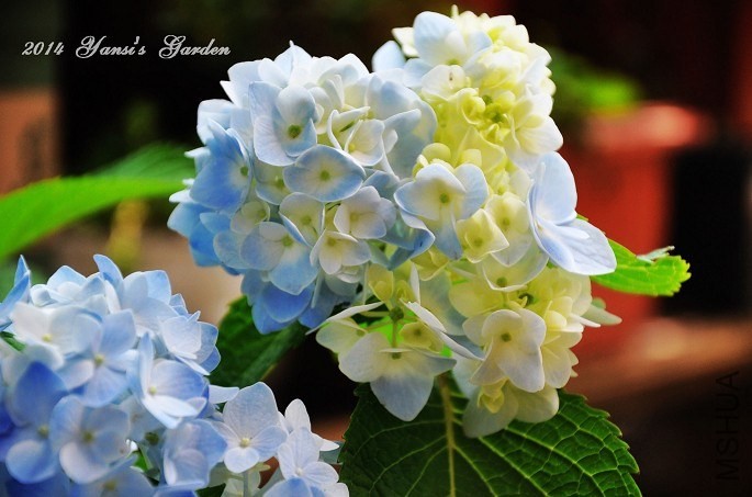 QQͼƬ20140602144137.jpg