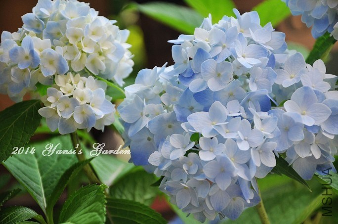QQͼƬ20140602144147.jpg