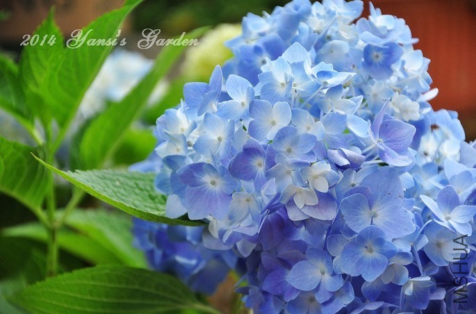 QQͼƬ20140602145052.jpg
