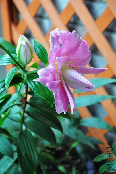 QQͼƬ20130614081415.jpg