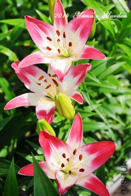 QQͼƬ20140517214436.jpg