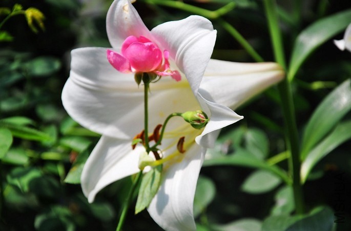 QQͼƬ20140602144050.jpg
