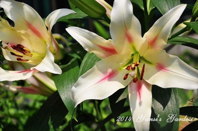 QQͼƬ20140602144106.jpg