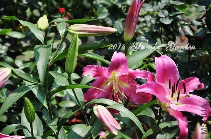 QQͼƬ20140602144123.jpg