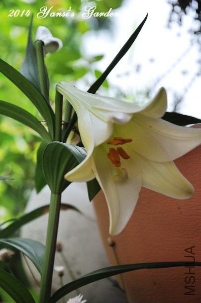 QQͼƬ20140602144128.jpg