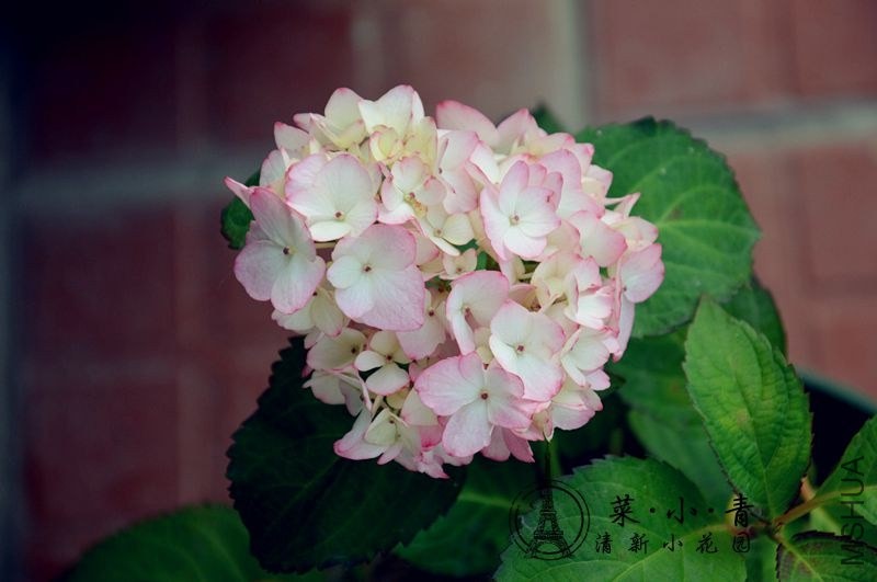DSC_0268_����_����.jpg