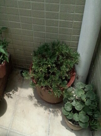 QQͼƬ20140602231933.jpg