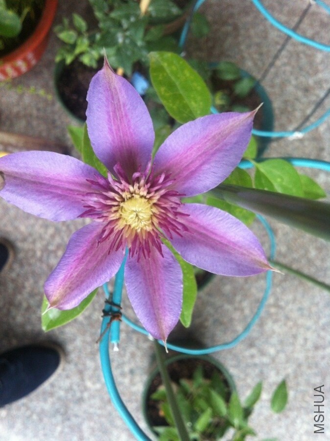 QQͼƬ20140603092255.jpg