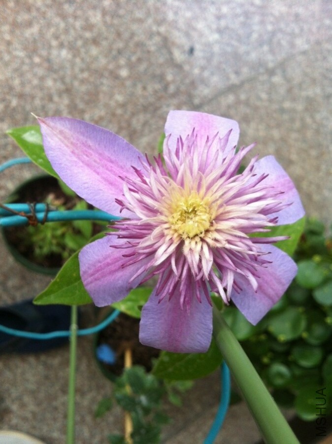 QQͼƬ20140603092310.jpg