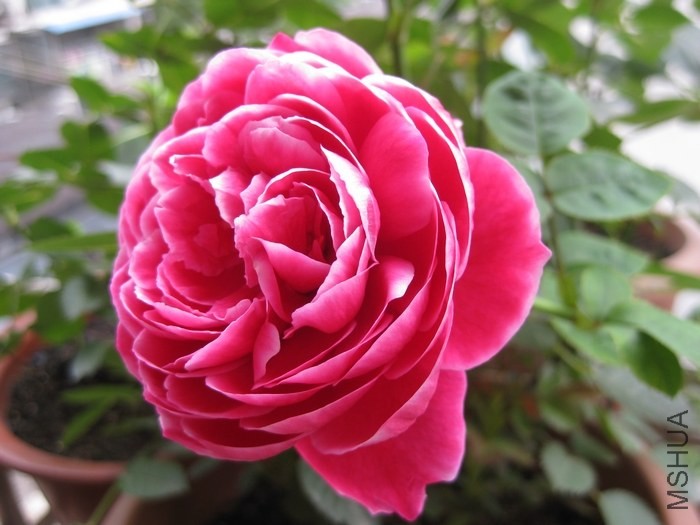 ��Ƭ 055.jpg