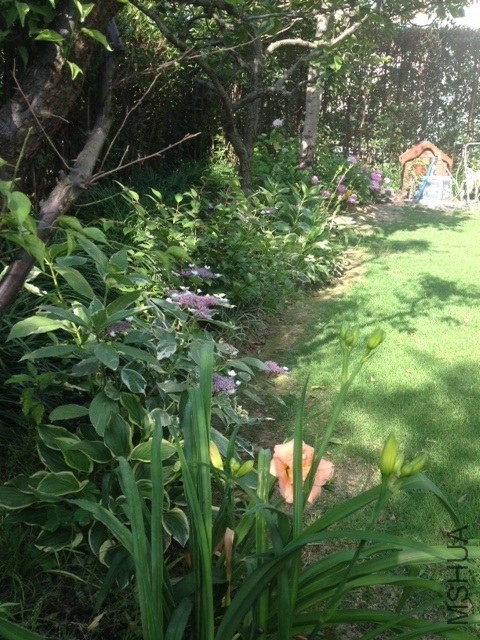 ��Ƭ 201406(5).jpg