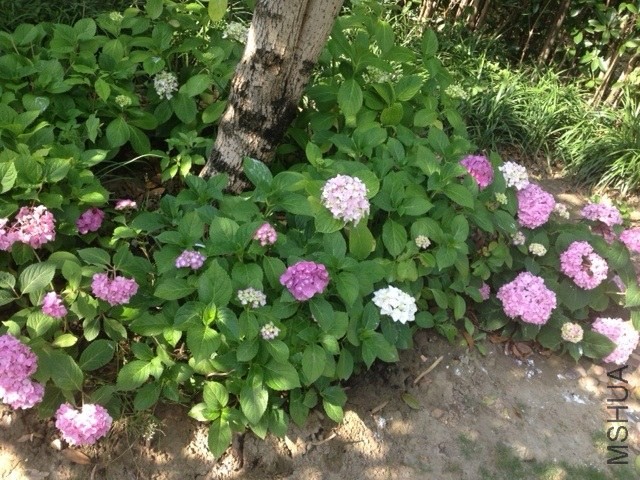 ��Ƭ 201406(2).jpg