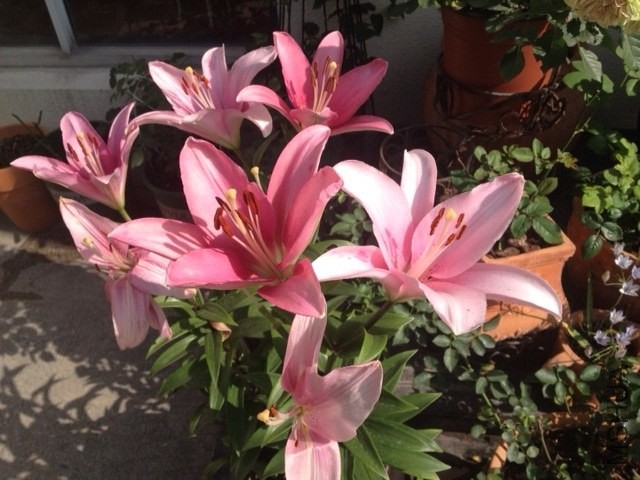 ��Ƭ201406 (3).jpg