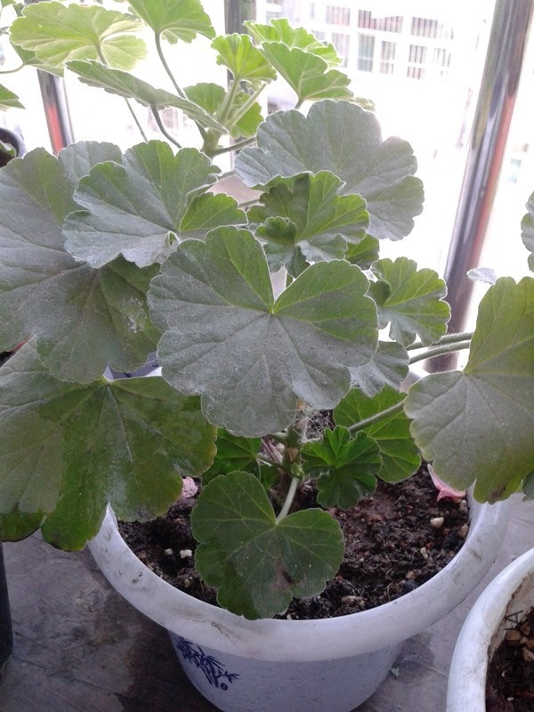 2014-05-28 09.59.16_����.jpg